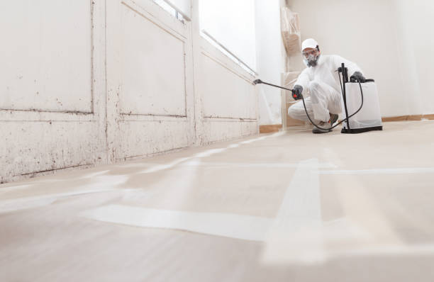 24/7 Emergency Black Mold Removal experts in Newtown, PA