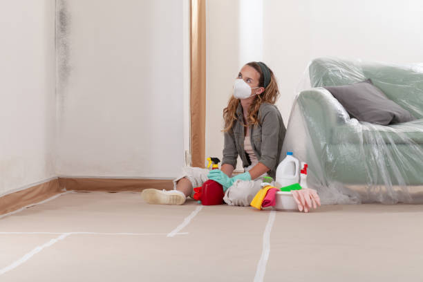Trusted Black Mold Removal service in Newtown, PA - WQB Mold Removal